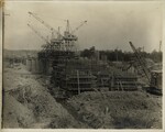 Cranes and Support Structures