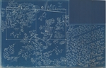 Map of Old LaGrange College Site by Colbert County Surveyors