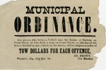Court Street Municipal Ordinance by Ed. Brown
