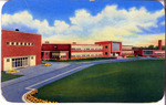 Coffee High School, Florence, Alabama (Modern building) by Curteich-Chicago C.T. Photochrom Post Card/Anderson News Company