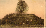 Indian Mound, Florence, Alabama