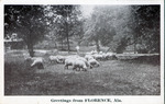 Greetings from Florence, Alabama (Sheep) by Brown Farm Scenes