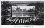 Greetings from Florence, Alabama-Southern Scenes (Bass) by Southern Scenes
