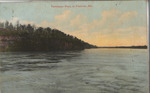 Tennessee River at Florence, Alabama by Joseph Milner & Son